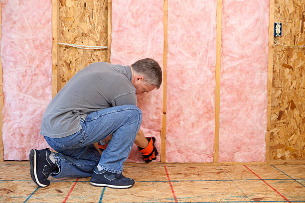 Professional Insulation Services in Garner, IA